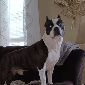 Meet your Posher, Ernie